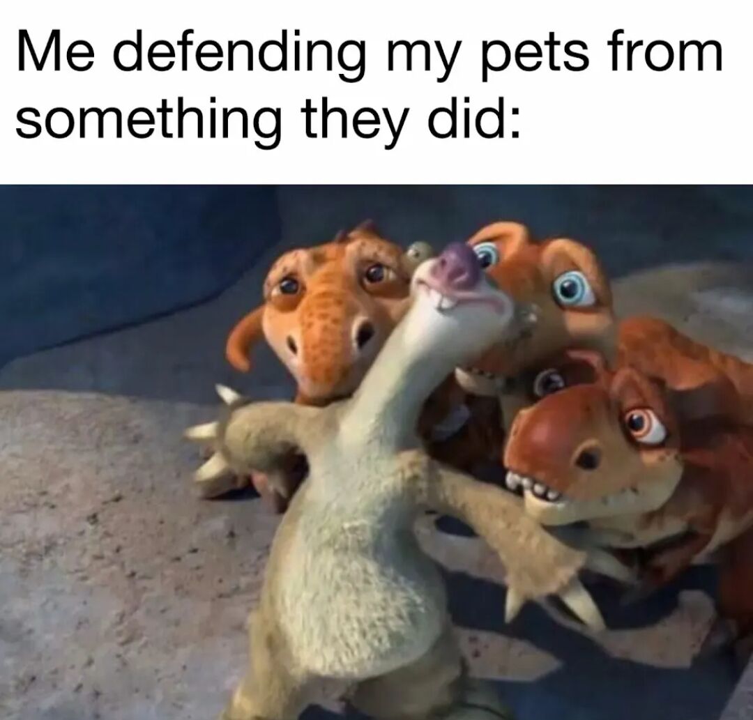 WholesomeMeme's tweet image. 