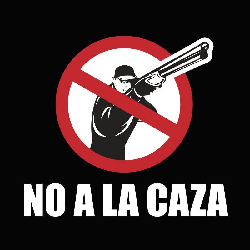 La caza deja 9 muertos y 27 heridos en 2025, repartidos en al menos 9 comunidades autónomas.
#NoALaCaza #LaVerdadDeLaCaza eltambor.es/la-caza-deja-9… vía <a href="/REVISTAELTAMBOR/">ElTambor | La Gomera</a>
