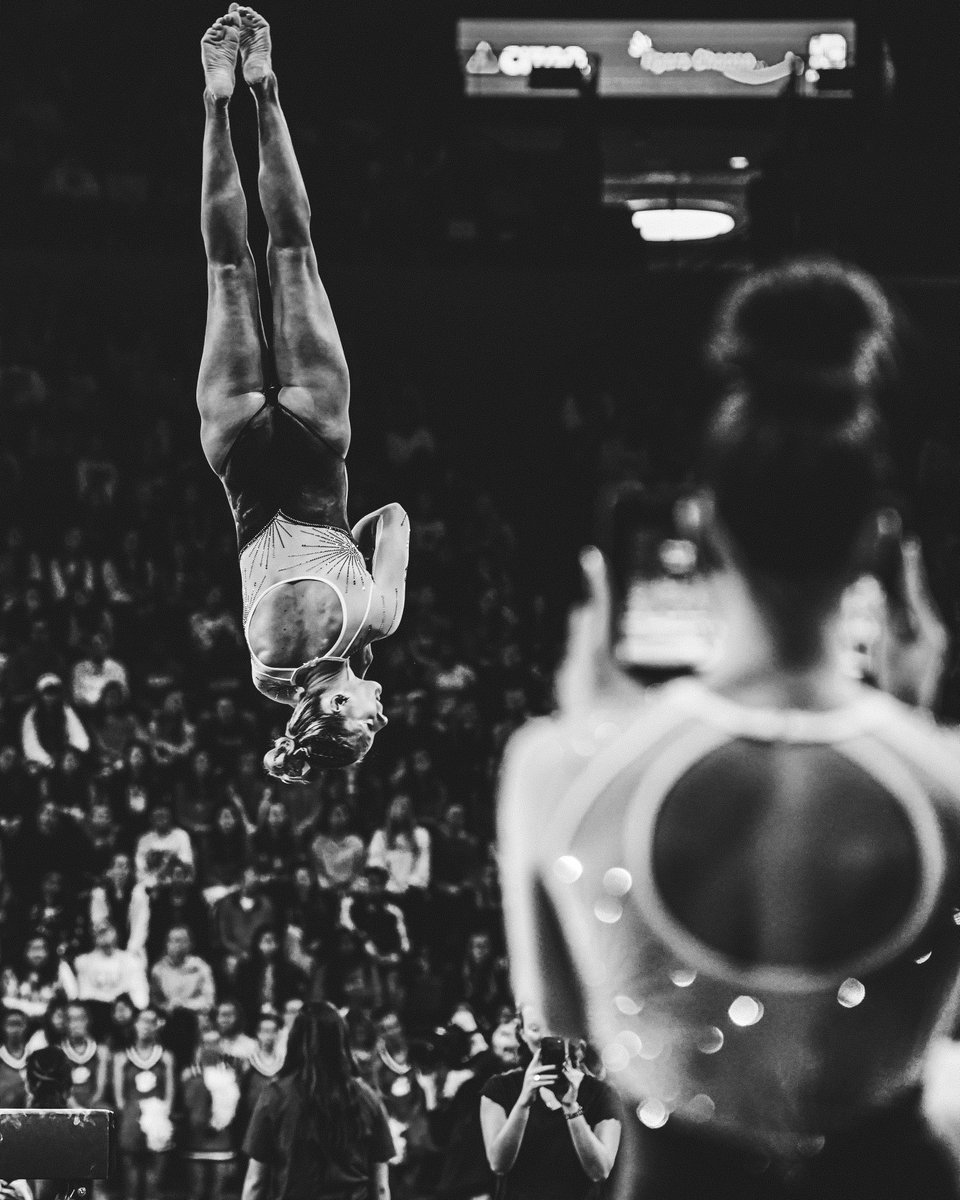 Matthew Kamph tweet media