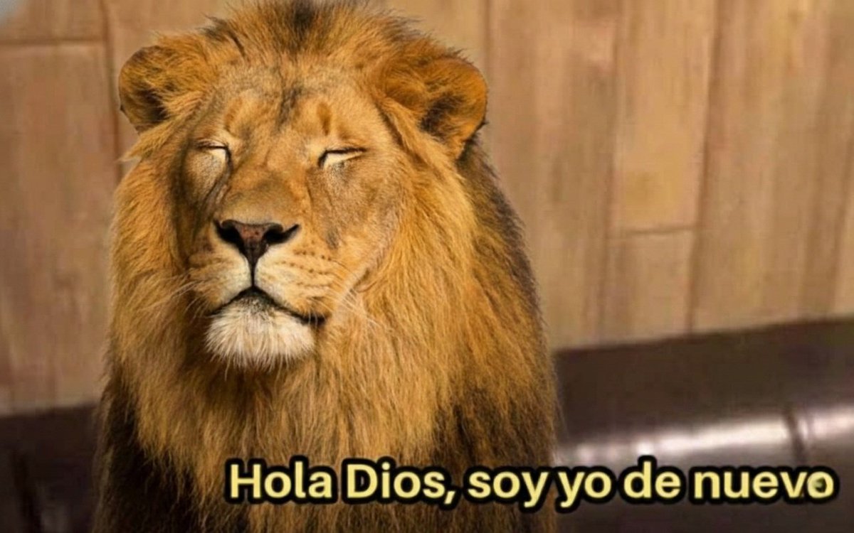 Gaming Campus | Lyon, image size:1200x750