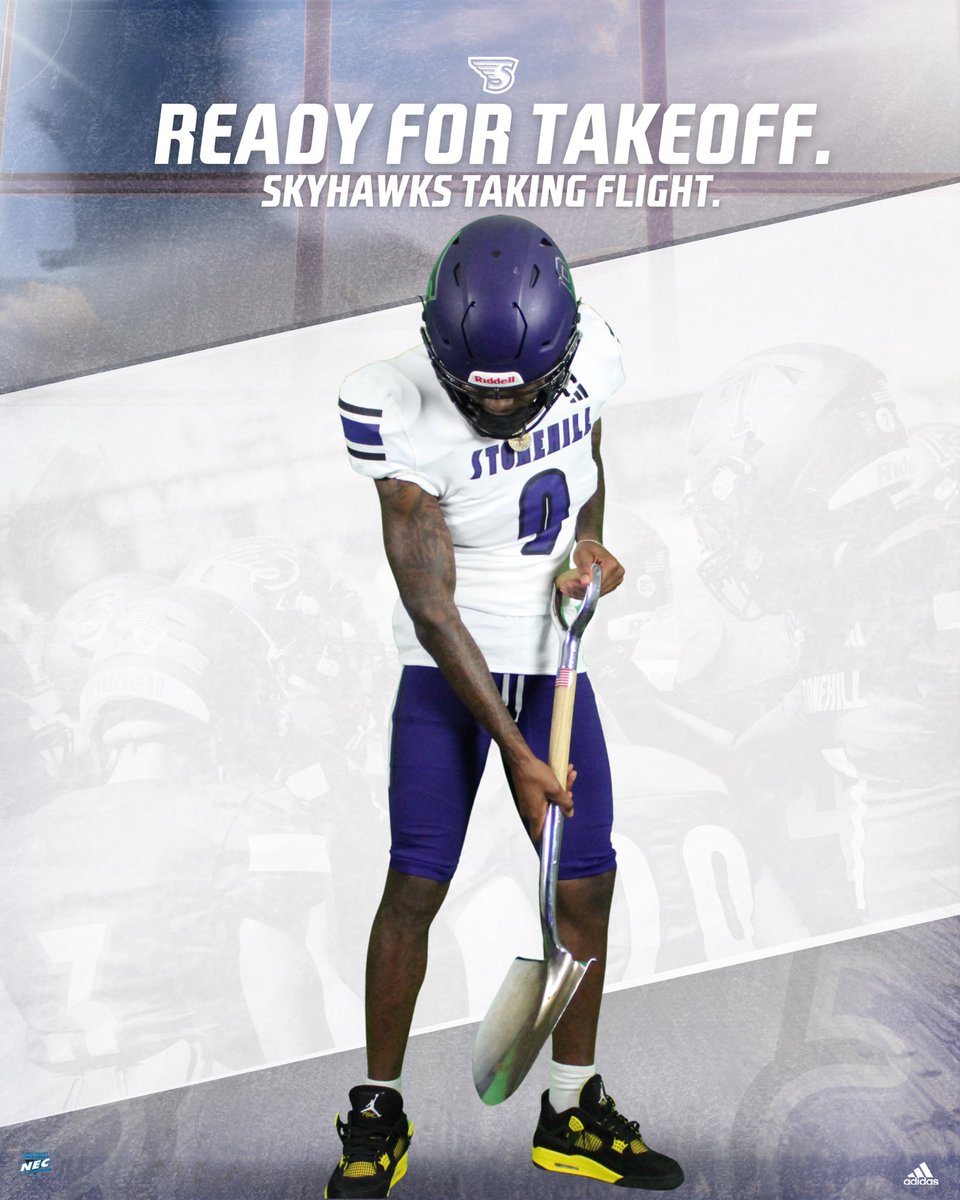 Stonehill Football #DIG tweet media