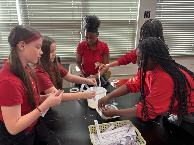 MacArthur  MS tweet media