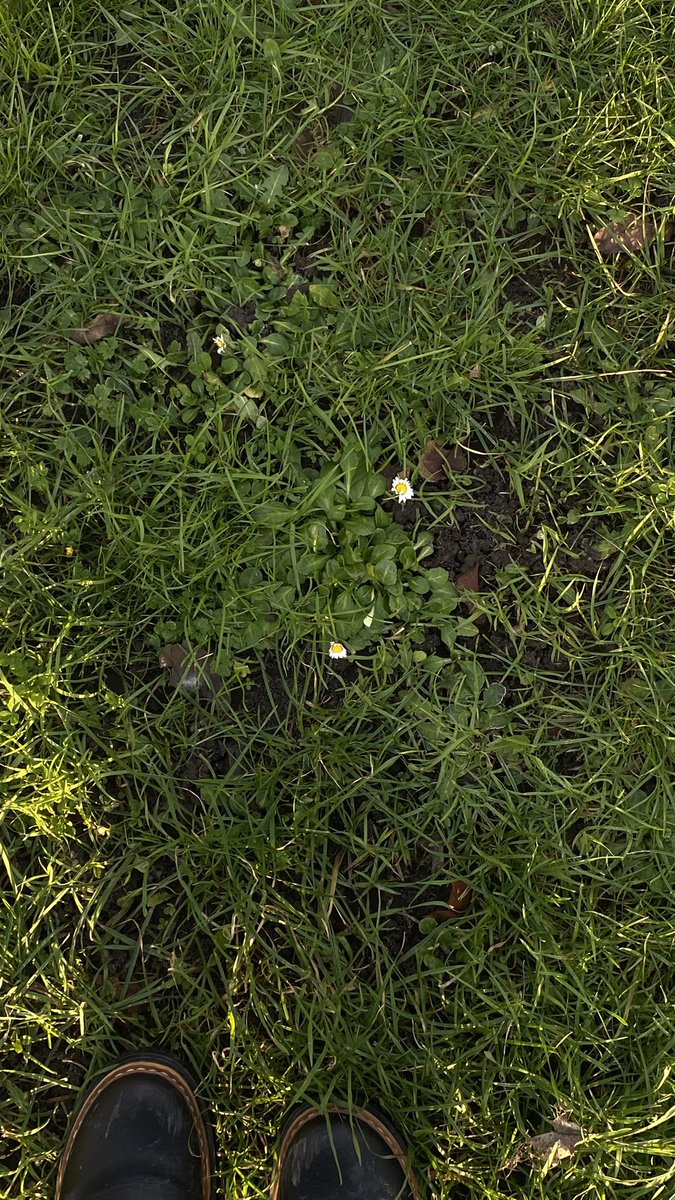 أوباس tweet media