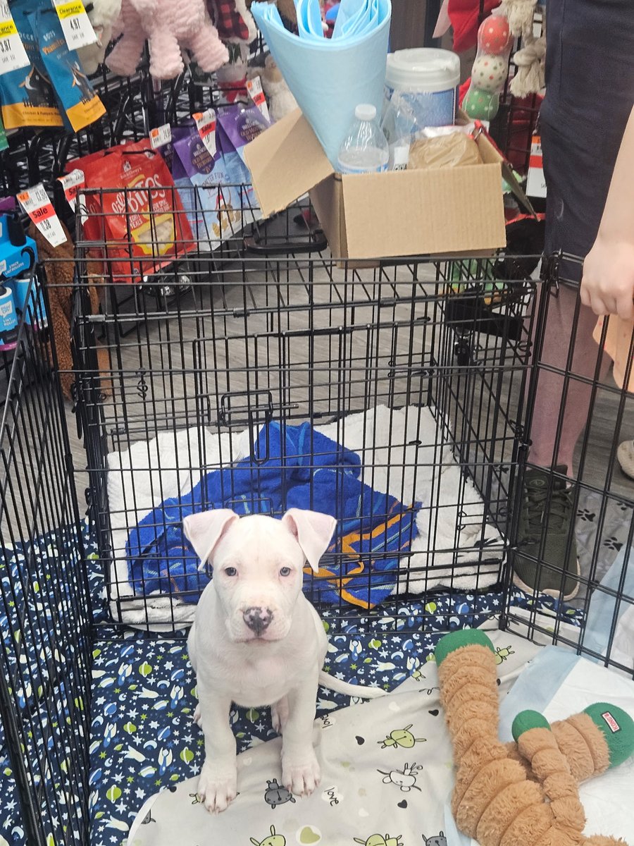 B.R.Zeller tweet media