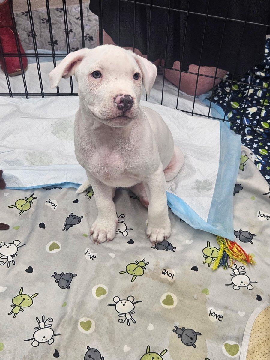 B.R.Zeller tweet media