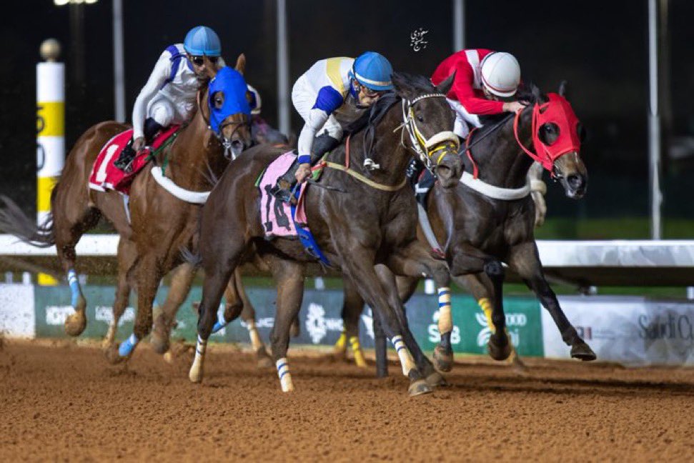 نتيجة الشوط الـ 9 الحفل ( 59 ) 
[ الخيل المبتدئة انتاج محلي ]

الفائز:عطرة الميدان
المالك :هاشم عبدالله محمد العمري
المدرب :عبدالله سليمان 
الخيال :زياد بندر الجابري
المسافة :  1600 متر
الزمن:1:44:35

#مباري_الخيل
#موسم_سباقات_الرياض