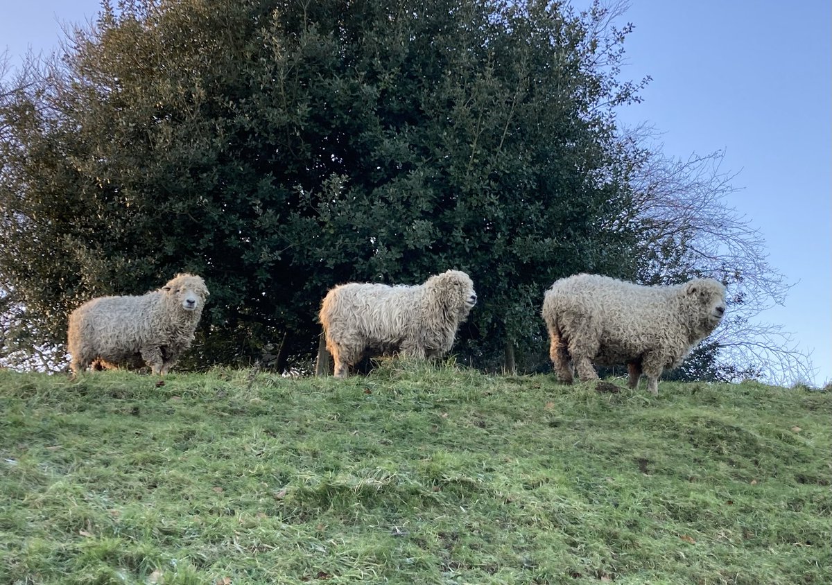 Kate Russell tweet media