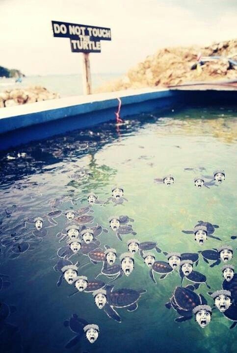 sometimes i forget how long ptv has been around and then i see shit like this on pinterest and like. Yeahhh yeah im a newcomer