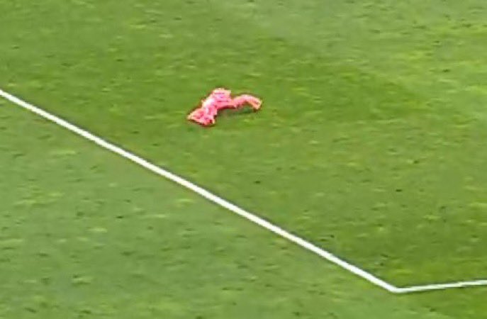 bir gün beni özlerseniz sahaya yağmurluk olarak dönecegim

-muslera