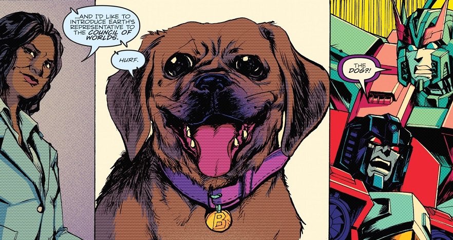 RandoCreator's tweet image. 