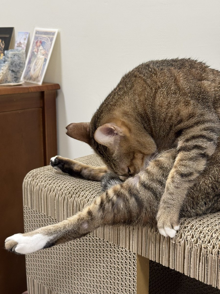 友善的卡通狼跳舞, 狼剪貼畫, 卡通剪貼畫, 舞蹈剪貼畫PNG去背圖片素材免費下載，免摳圖設計圖案下載- Pngtree, image size:900x1200