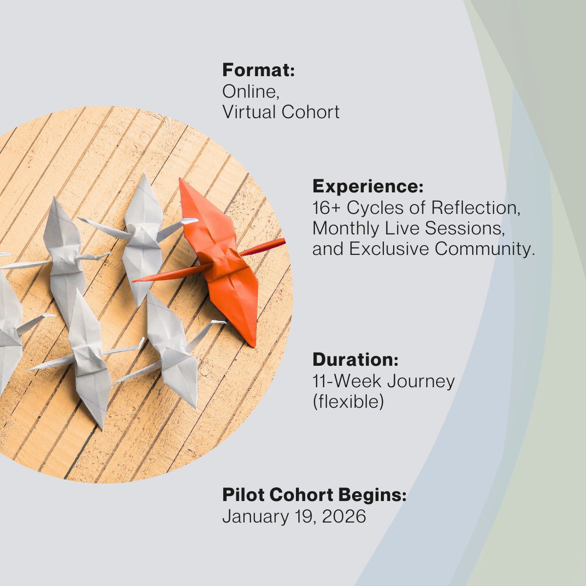 Briyah Institute tweet media