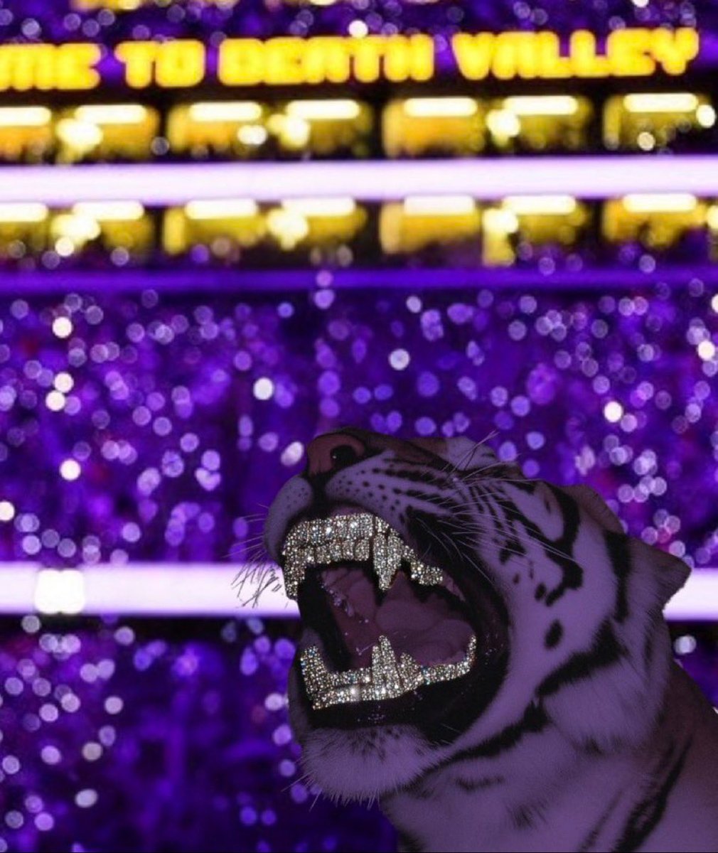 ChaseK1b's tweet image. 