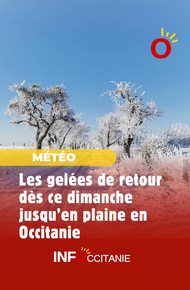 loicspadafora's tweet image. #Météo : les #gelées de retour dès ce dimanche jusqu’en plaine en #Occitanie ⤵️ infoccitanie.fr/meteo-les-gele…