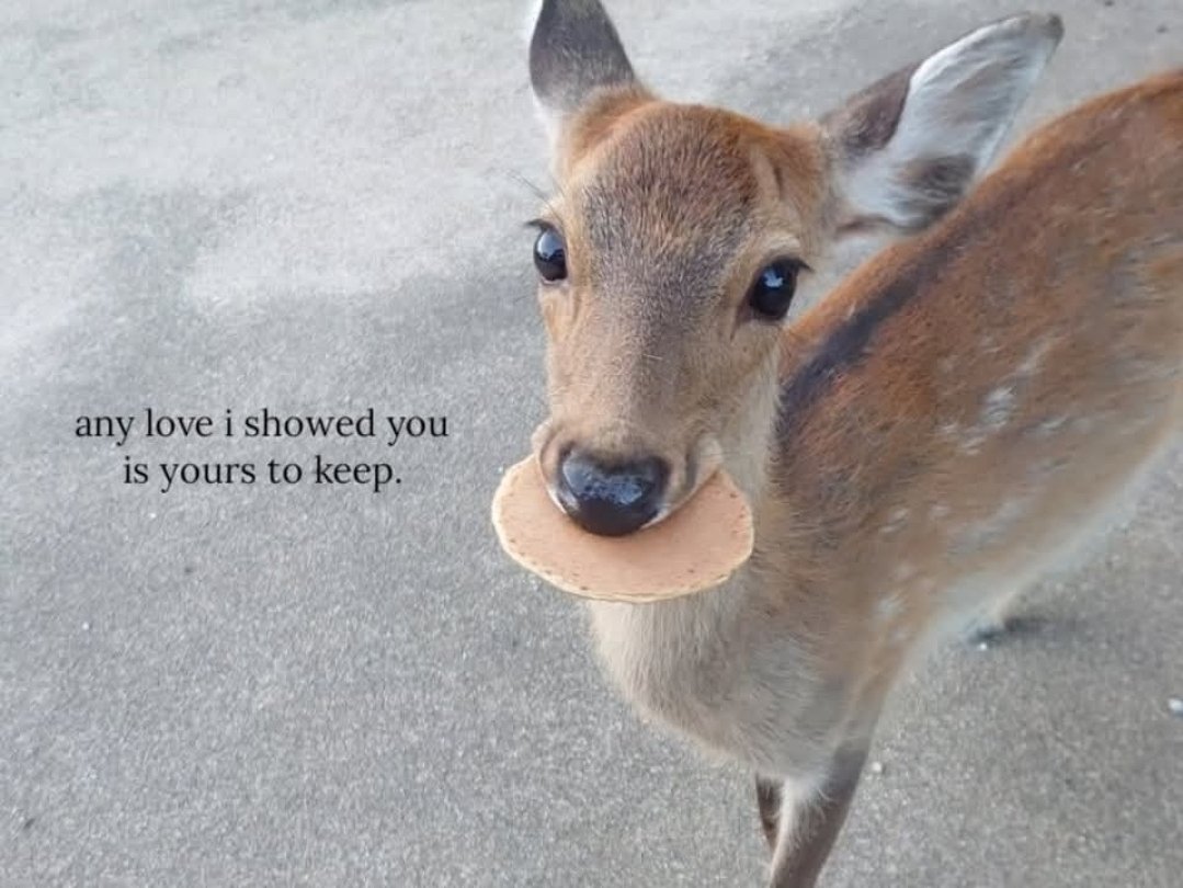 That One Deer, Camo (@samuraideer) on Twitter photo 