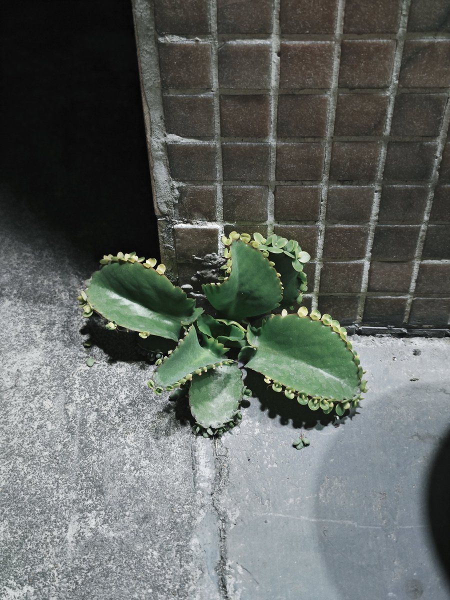 少折腾,生命会找到自己的出路。