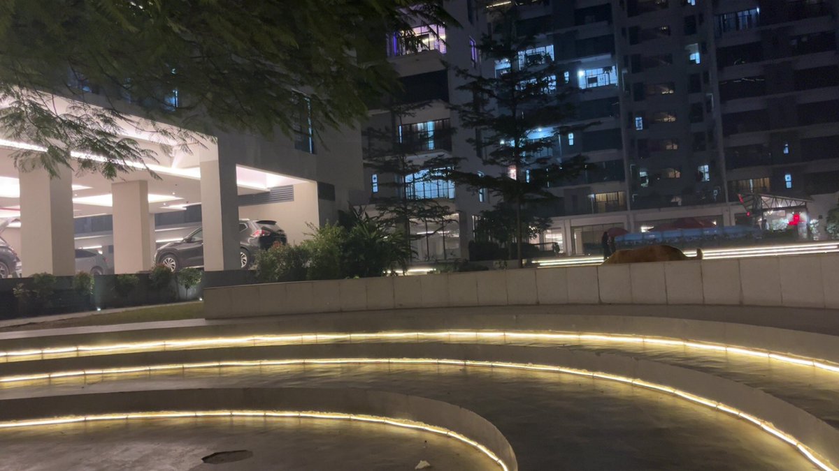 Joy Kazi tweet media