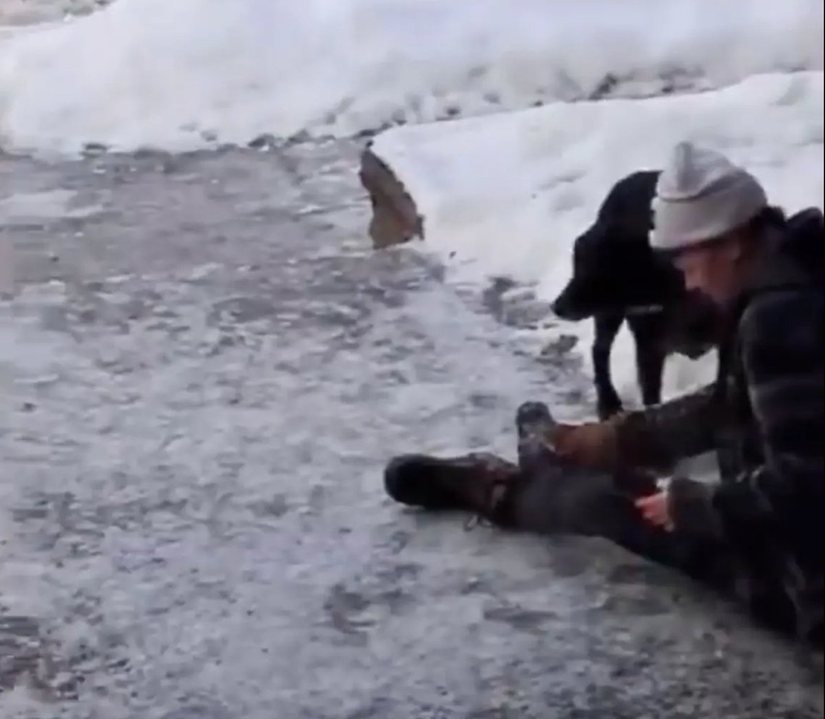 Nick_Rogue_'s tweet image. He's with the wife of Renee. Rebecca I think is her name. 

Still alive, "okay" is a different matter.