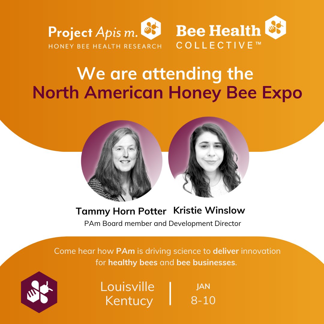 Project Apis m. tweet media