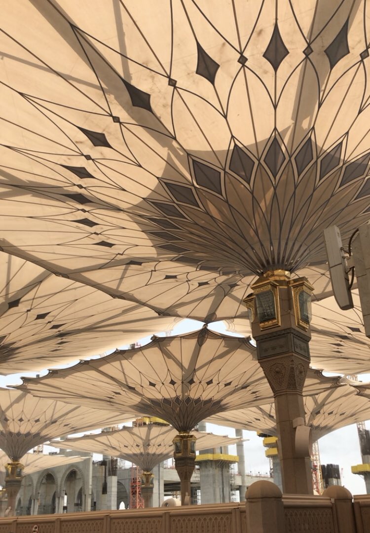 F2023i's tweet image. «يا ليت لي في أرضِ طيبة منزلًا
أقضي به الأيّامَ في حدِّ الحَرم»