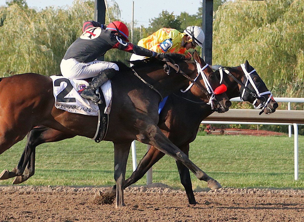 A review of the 2025 Prince of Wales Stakes - Competition at its Best - zurl.co/wI74S. Great racing photography is honest. It captures truth in motion. Photograph by Mary Jane Sibbitt.

#horseracing #jockeyscanada #jockeys