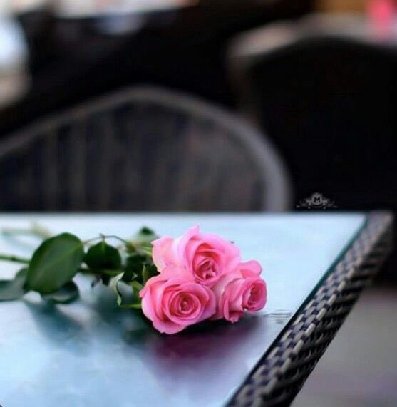 ابوعبدالرحمن | Hobani tweet media