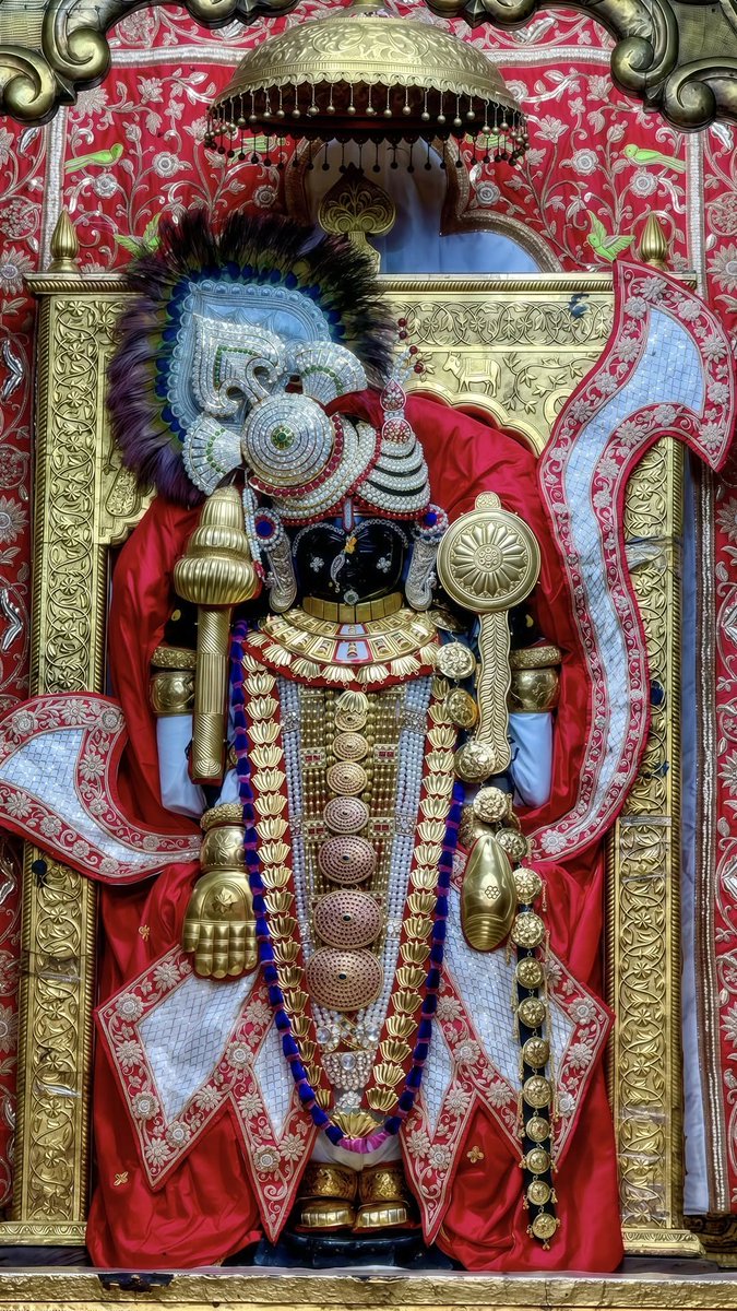 RathvaS7's tweet photo. Jay Dwarkadhish 🦚 https://t.co/ZjoS2m8JfD