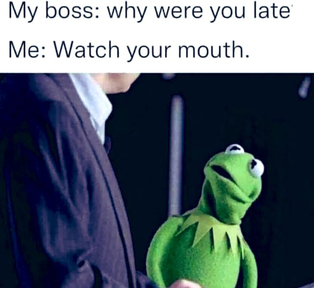 POV: Monkey Pox V2 launches 

…and you swap $POX you bought at 4mil market cap for a 500SOL grail NFT🏆