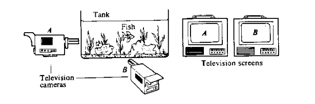 thedarshakrana's tweet image. Let this sink in:

• Bohm’s equations *predicted* quantum entanglement
• He suggested faster-than-light information transfer
• He believed consciousness *emerges from the implicate order*

Years later, Bell’s Theorem would *prove* many of Bohm’s ideas correct.