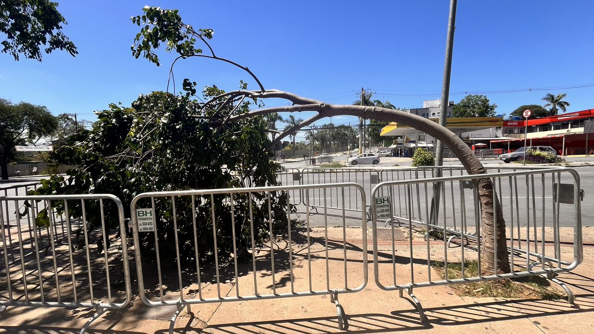 Cheguei no Mineirão 🥹