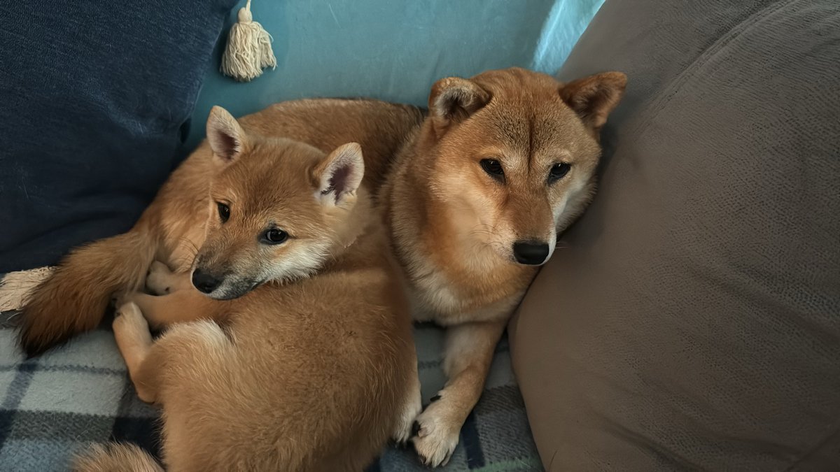 Os presento oficialmente a Yuna.