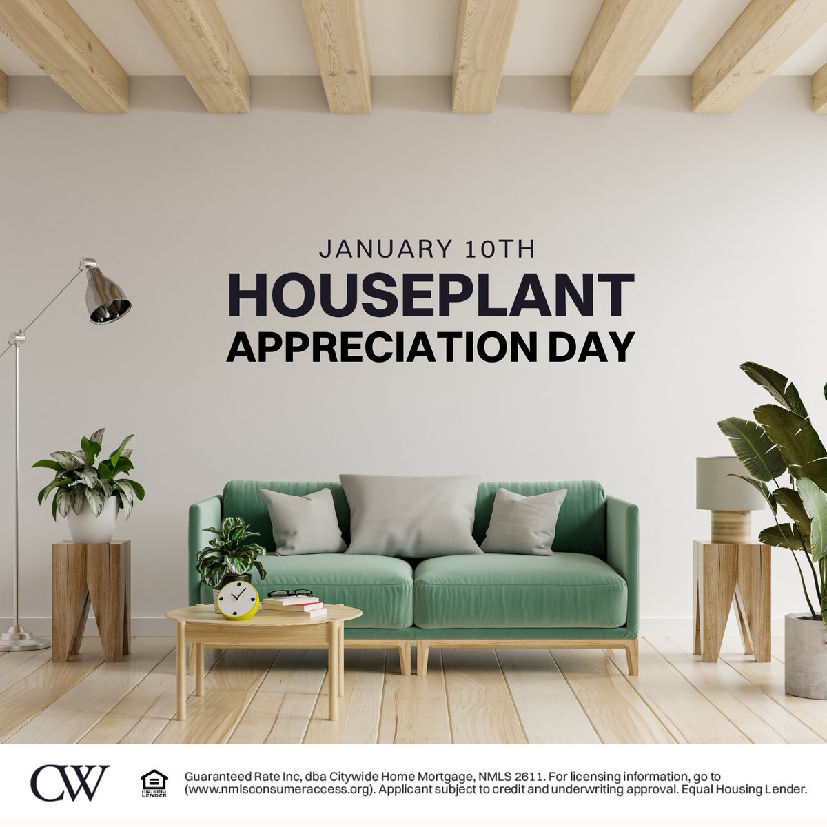 clmill's tweet image. Houseplant Appreciation Day 🌿
Show your plants some love today... even the ones you forgot to water 😄 citywidehm.com/crystalmiller