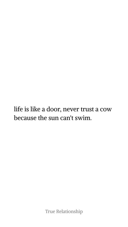 RobertsChessie's tweet image. It's time to find laughter again, step out, step away for a few heartbeats and LAUGH! IT'S GOOD FOR YOU!
#CSRobertsAuthor #S4S #LaughItsGoodForYou #HumorHeals
