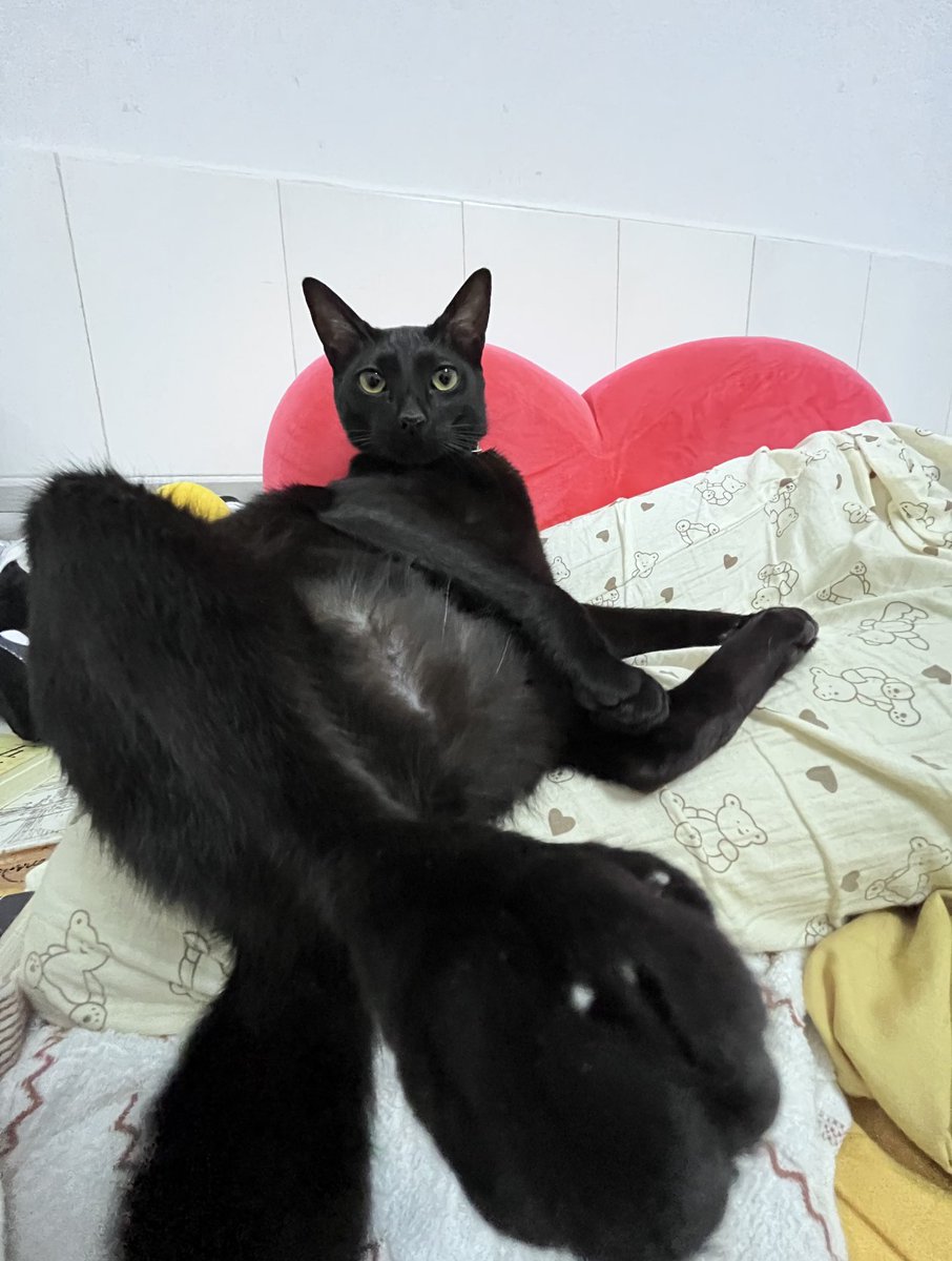 tmszhjh88's tweet image. Elegant and stylish