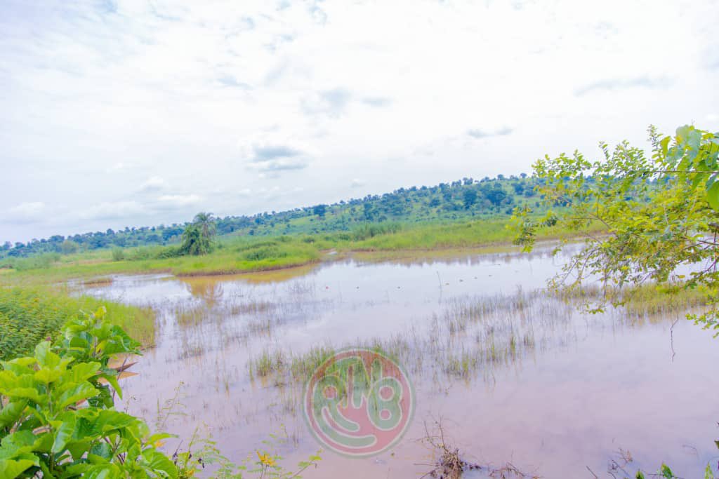 🚞🇧🇮Les premières gares du futur chemin de fer(Uvinza-Musongati) ont été identifiées à Musongati et Giharo (Rutana) lors d’une mission burundo-chinoise (8–9 janv. 2026).Un projet stratégique pour le transport et le secteur minier.

Lisez ici👇
facebook.com/share/p/1ARUjP…