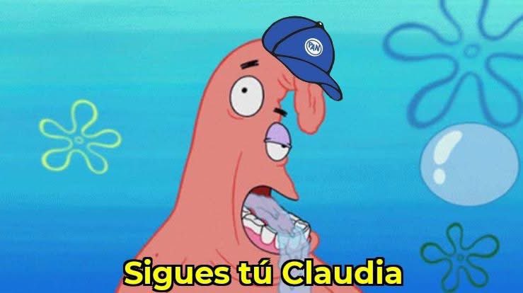 Un panista por la vida…