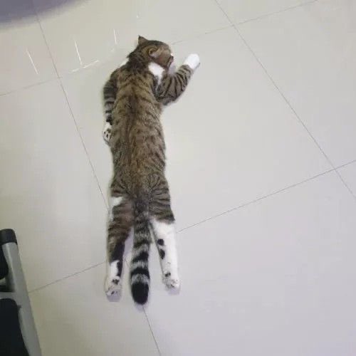 stella ౨ৎ (@chirsturniolo) on Twitter photo 