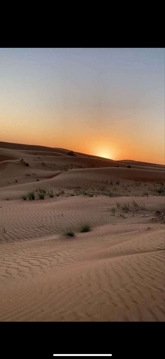 مبارك حمود tweet media