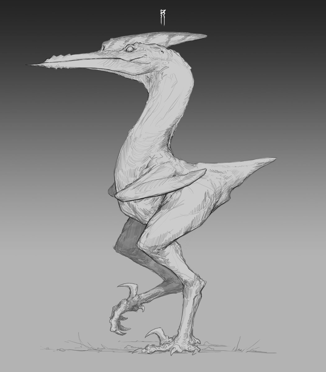 Bull.Falcon (@FalconBull) / Posts / X