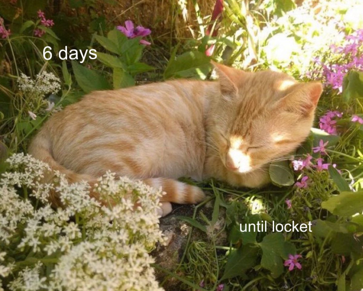 eef birthday girl 💛 (@beersdevil) on Twitter photo 