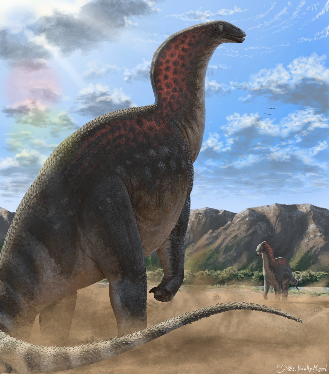 Amargasaurus