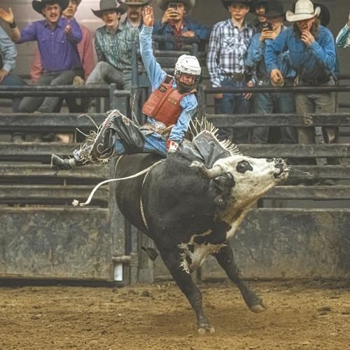 aping most of bsc tokens is like an onchain rodeo