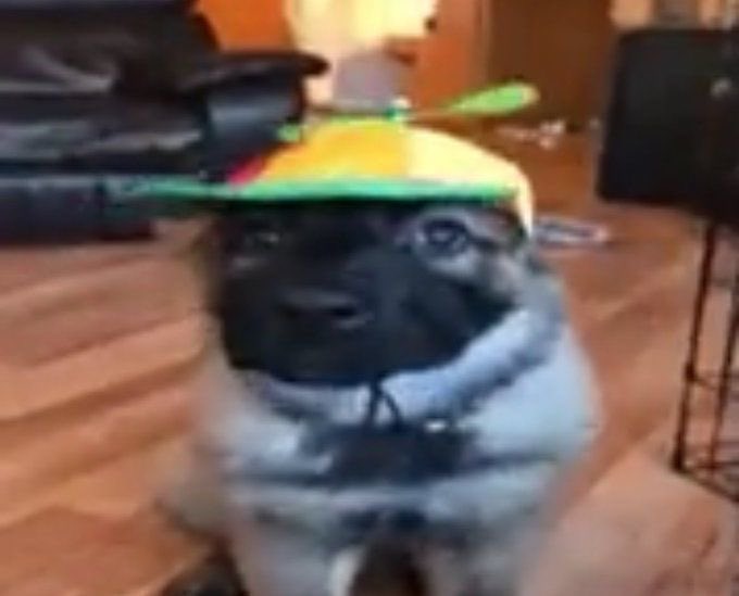 viilellaa_'s tweet image. nasci pra ser pau mandada de mulher