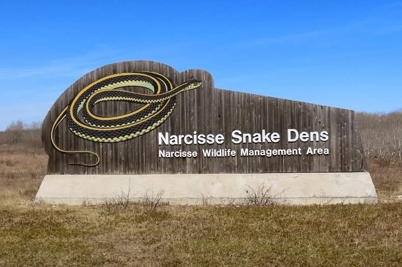 For Pete's Snakes! tweet media