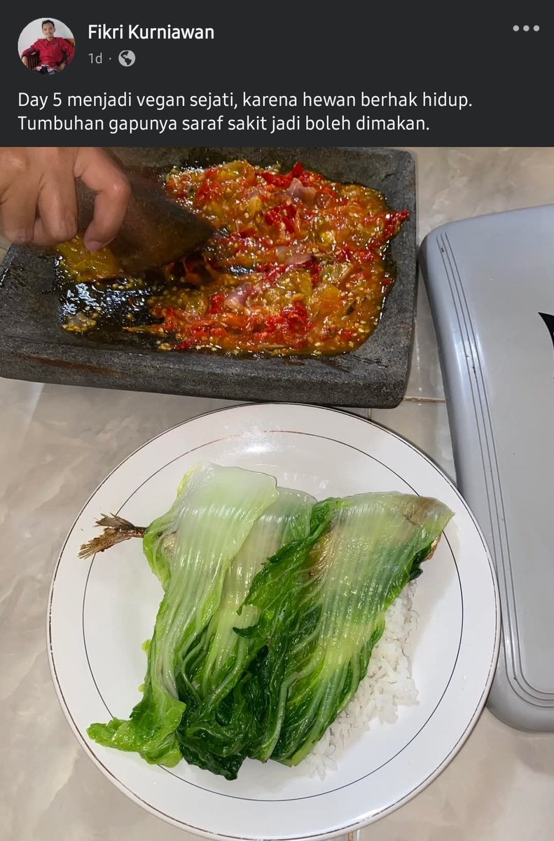 Semua hewan berhak hidup ♥️