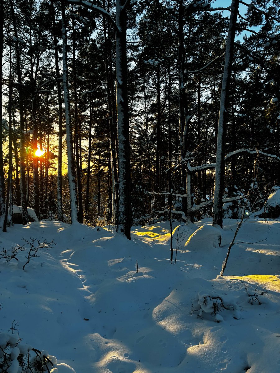 BasedBasse's tweet image. Det här fick ersätta doomscrollandet idag 🙏🏻