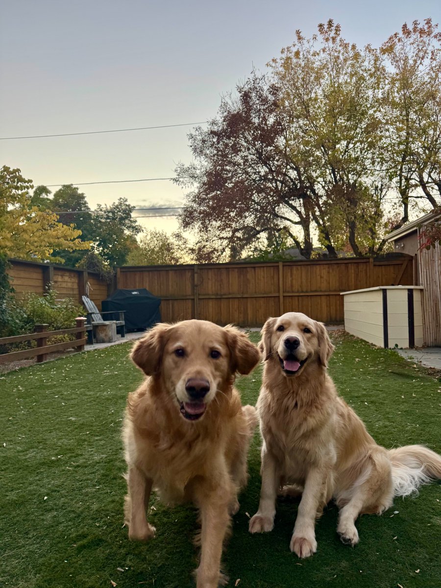 Brad Shively tweet media