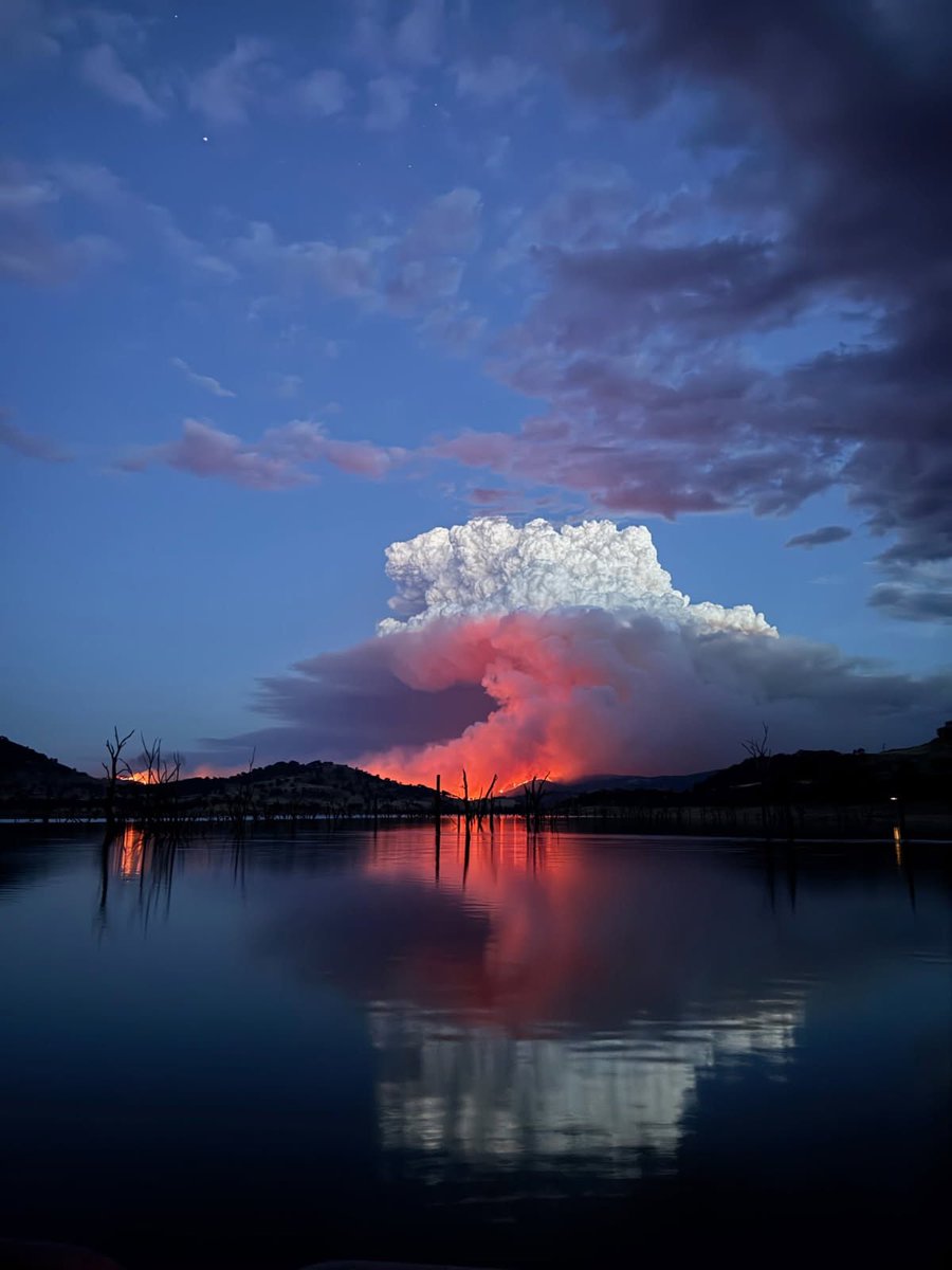 Association Prévention & Signalement Feux De Forêt tweet media