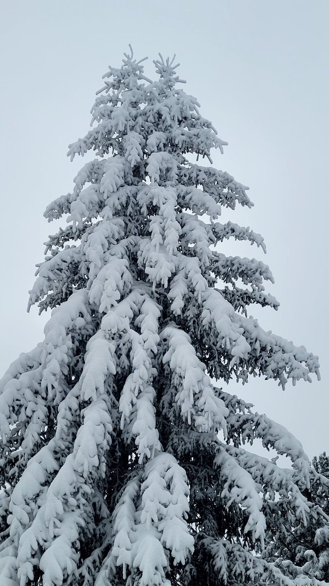 The beauty of Bormio.