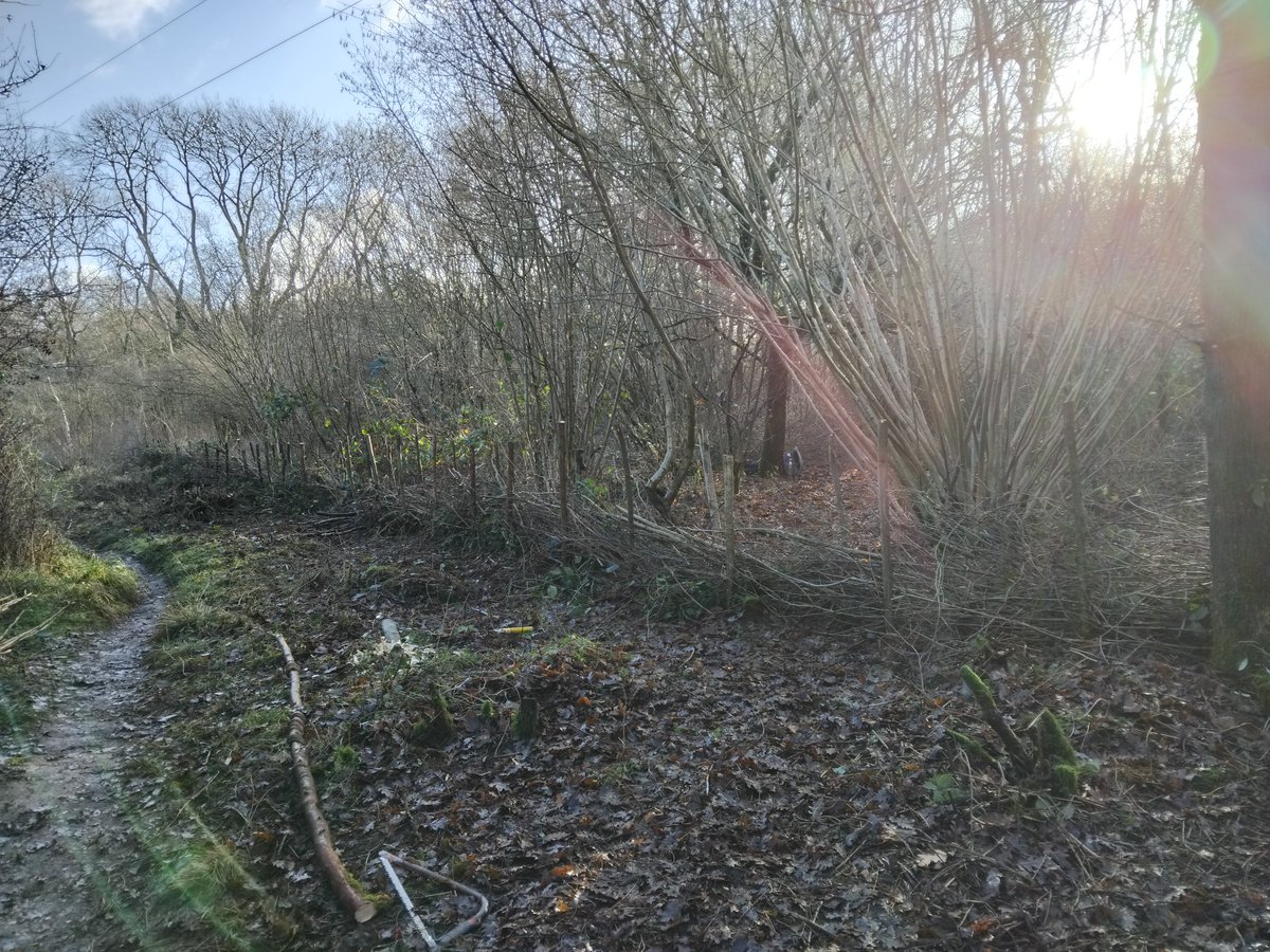 Greenways Project tweet media